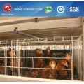 Egg Laying Chicken Cage for Sale